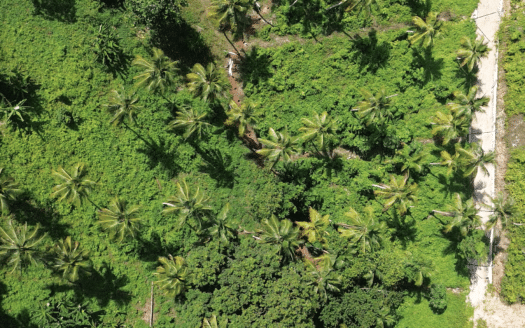 Land in Coson ideal for small project and investment